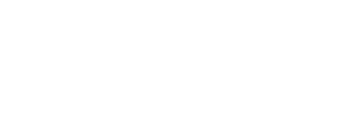logo_weiß_transp_VSS.png