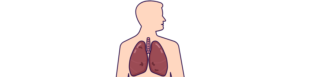 Qr Code NQG (192 x 192 px) (1025 x 253 px)-4.png