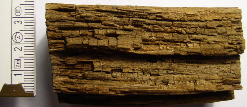 Holz_Moderfäule.jpg