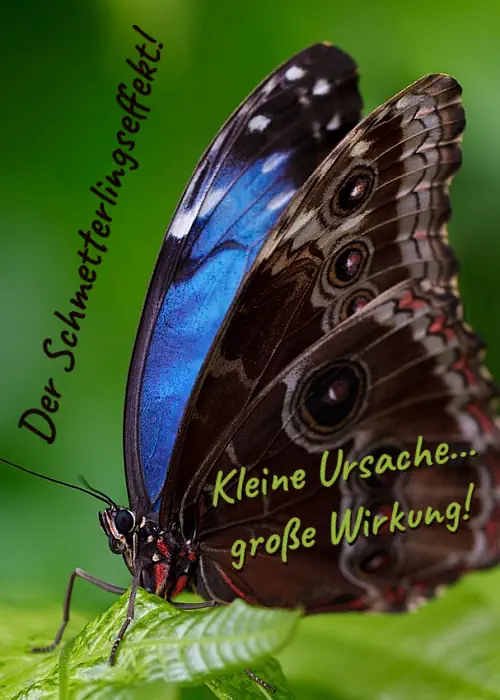 der_schmetterlingseffekt_kleine_ursache_grosse_wirkung.webp
