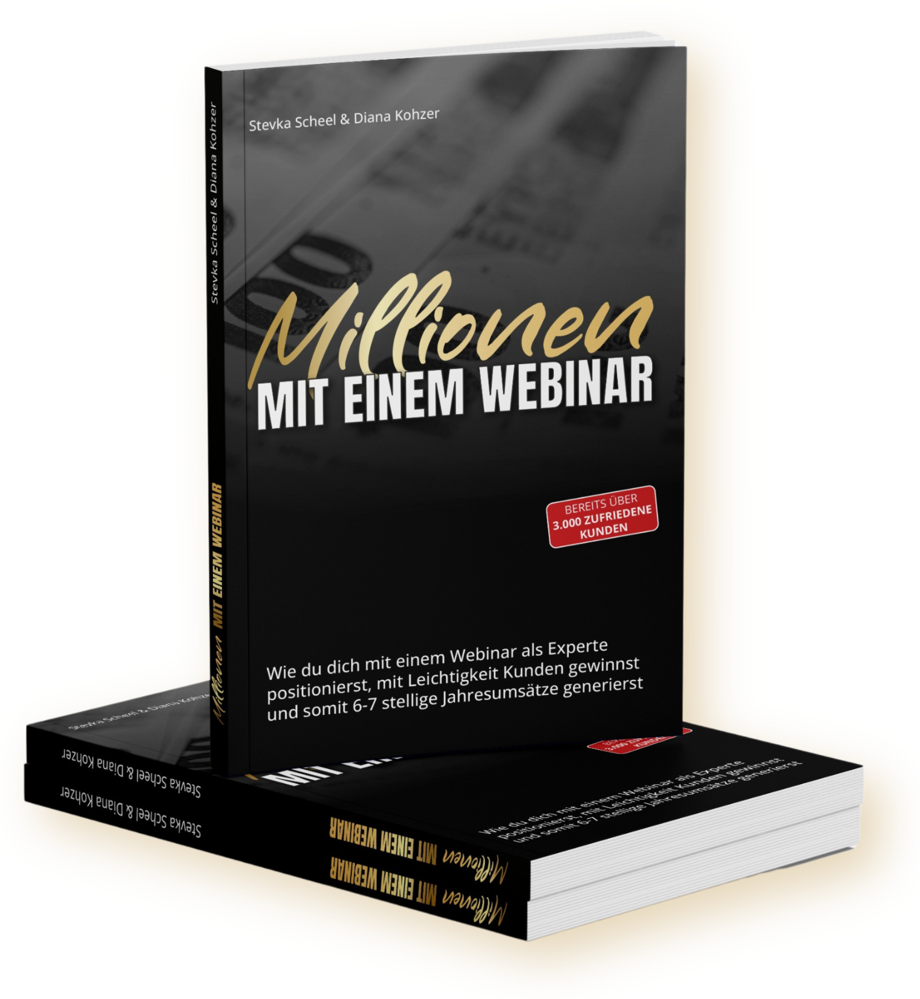 Millionen-mit-einem-Webinar-_2_.webp