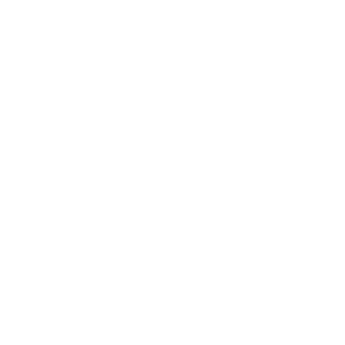 Bijouhaus Logo (3).png