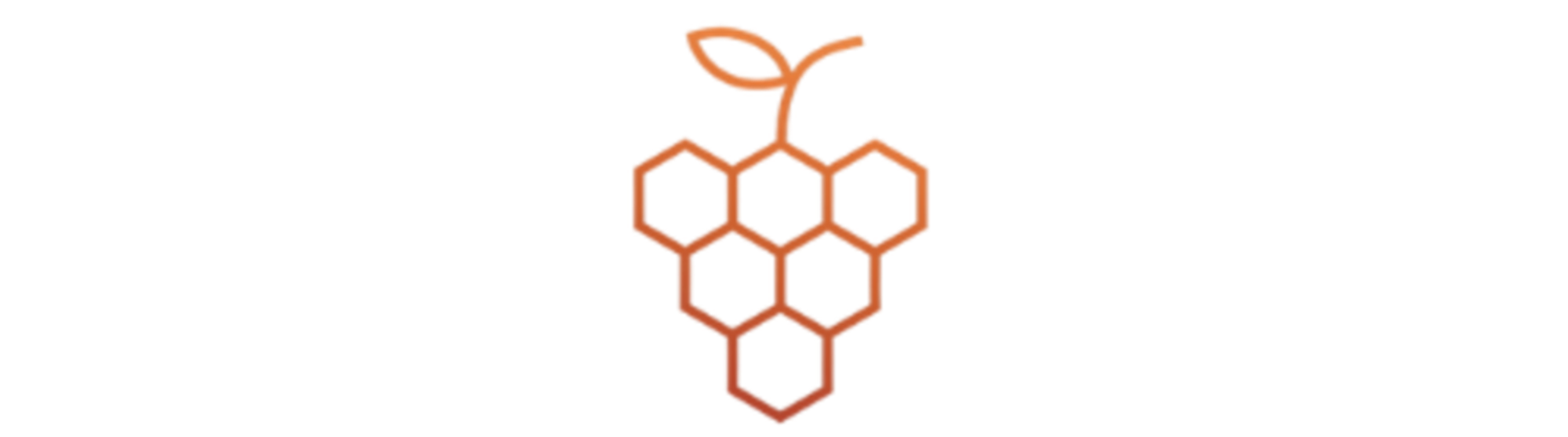 Bijouhaus Logo (4).png