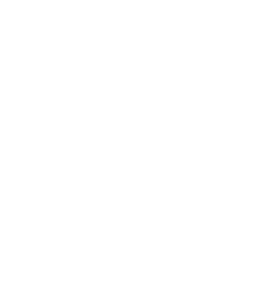 Maier Logo weiß.png