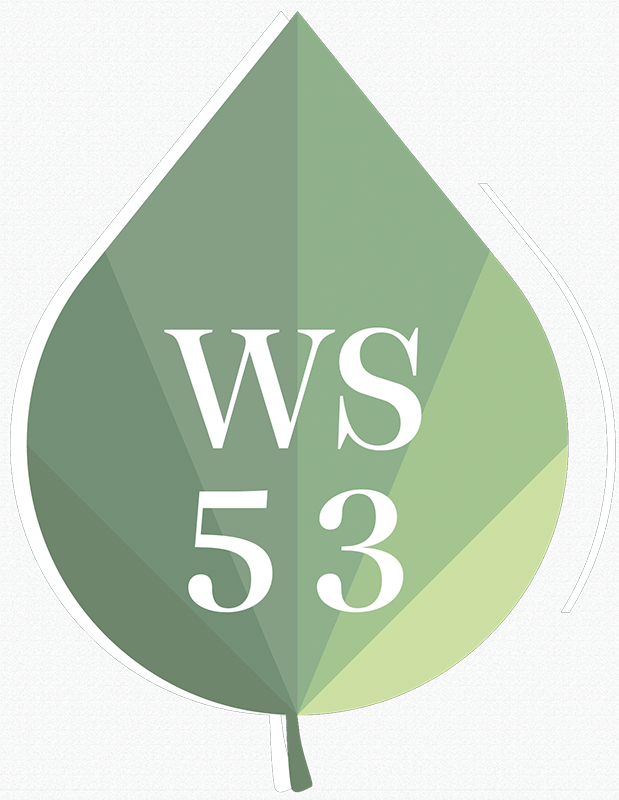 ws53.png
