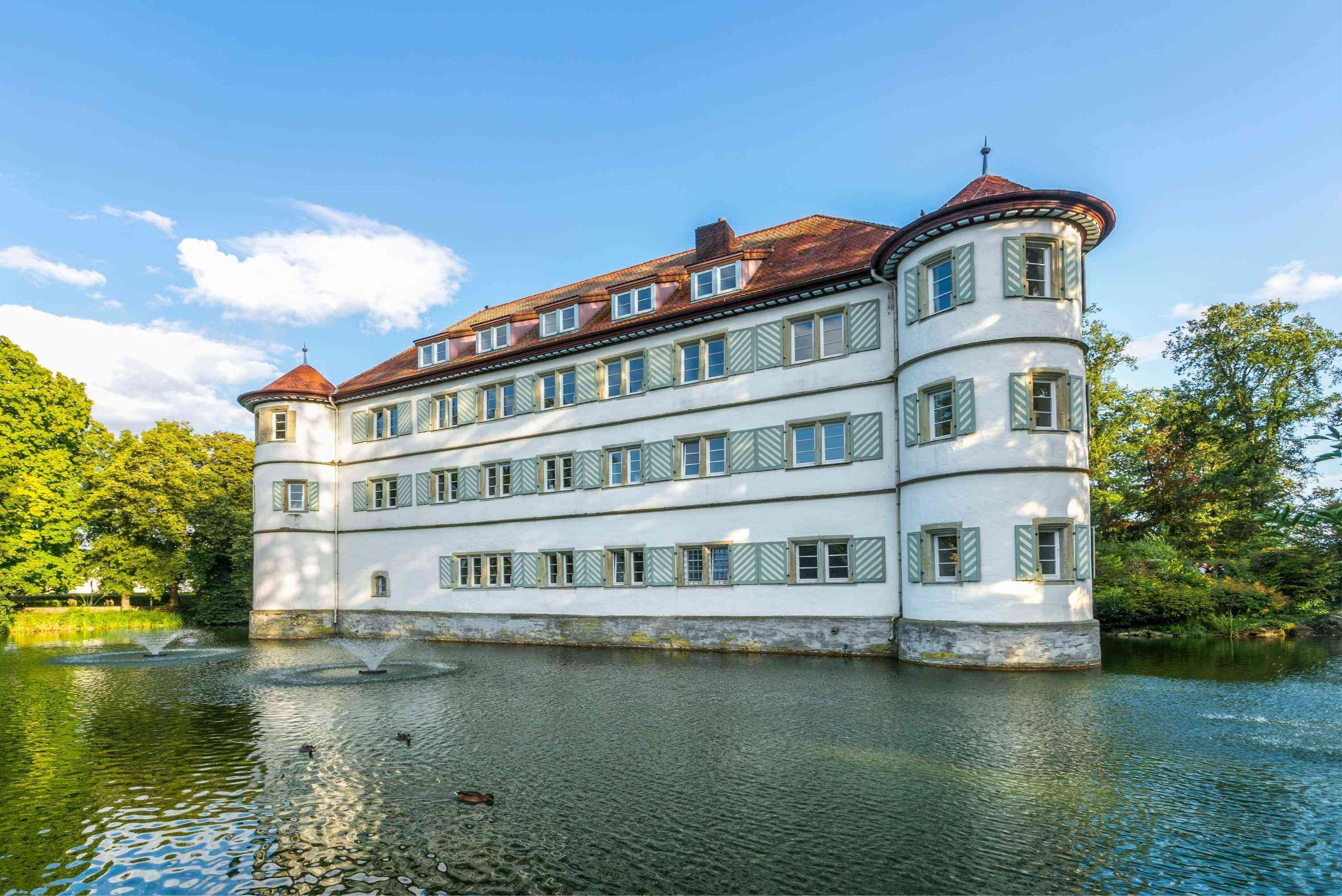 Bad Rappenau - Burg neu.jpg