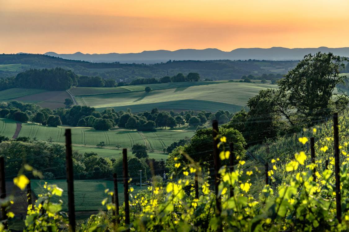 Design ohne Titel (39).jpg