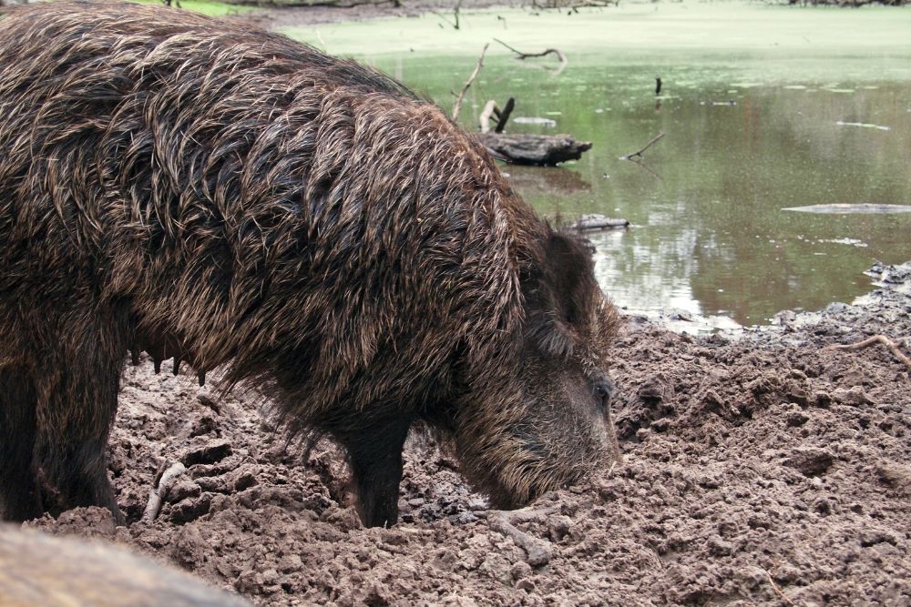 Design ohne Titel - 2025-02-07T181200.225.jpg