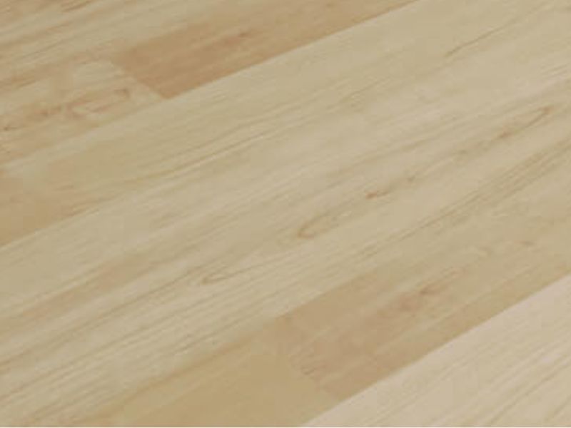 Markus Maier Ausstattung (6).jpg