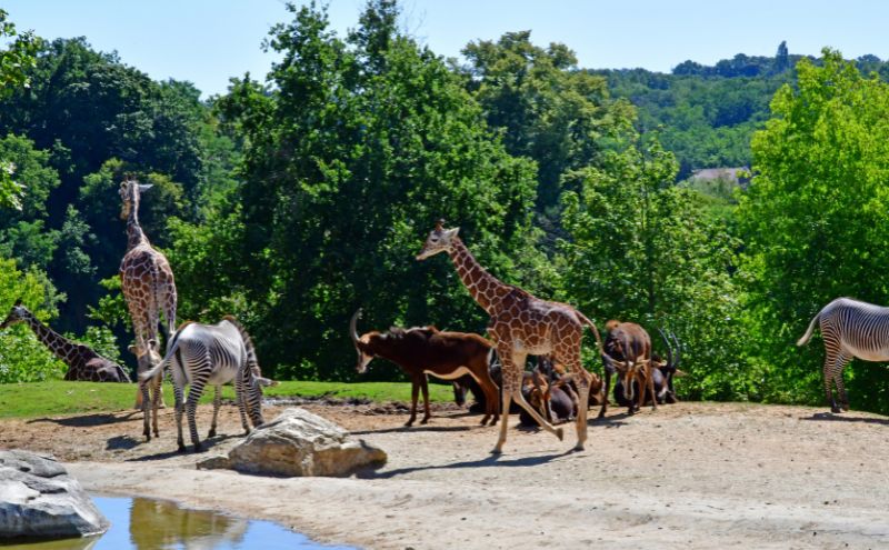 Design ohne Titel (65).jpg