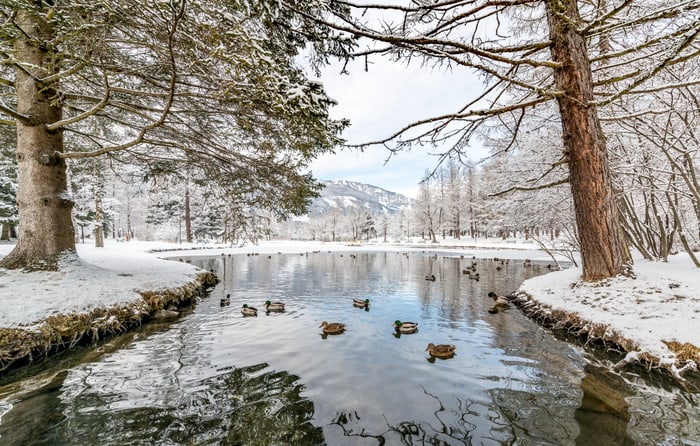 Winter in Henndorf