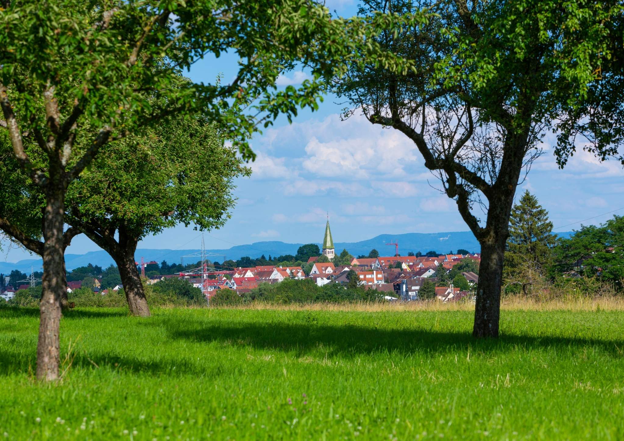 Plieningen Landingpage (1).jpg