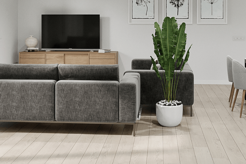 Design ohne Titel (23).png