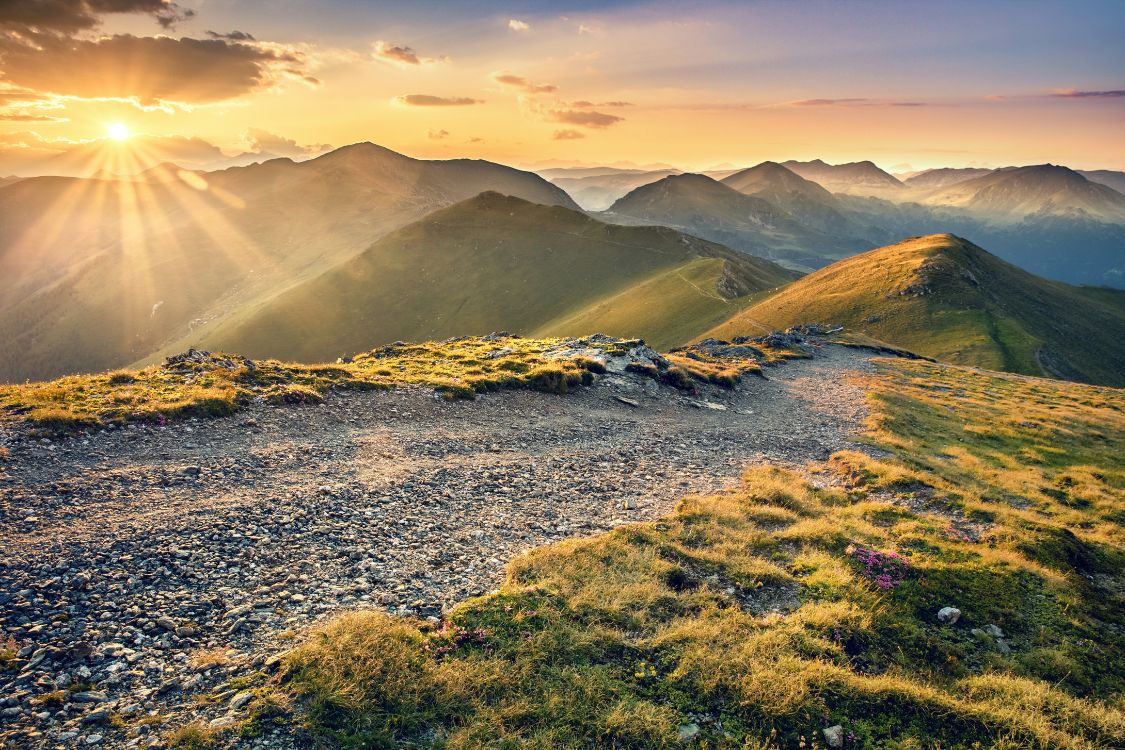 Design ohne Titel - 2024-12-19T024421.686.jpg