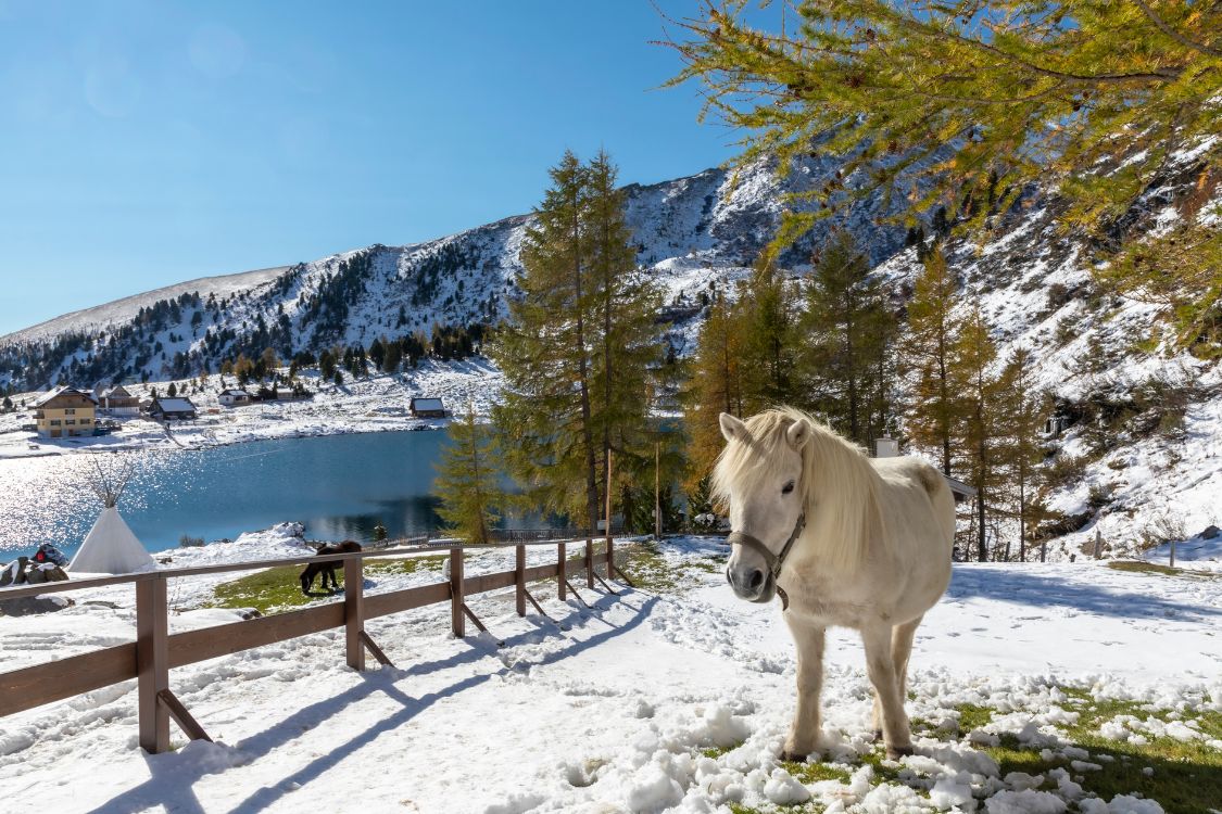 Design ohne Titel - 2024-12-19T024446.660.jpg