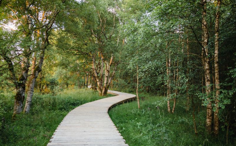 Design ohne Titel (69).jpg