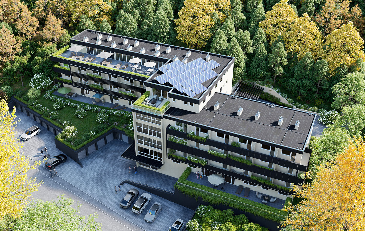 bad mergentheim vogel 1.jpg