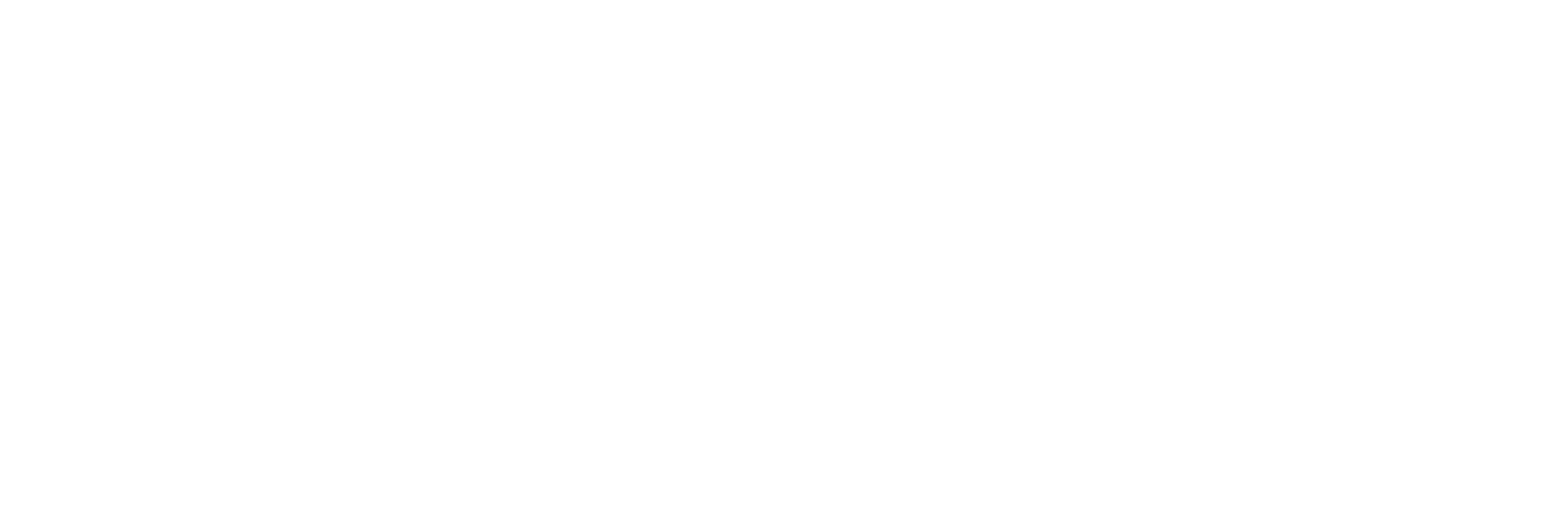 U355 Logo - weiß.png