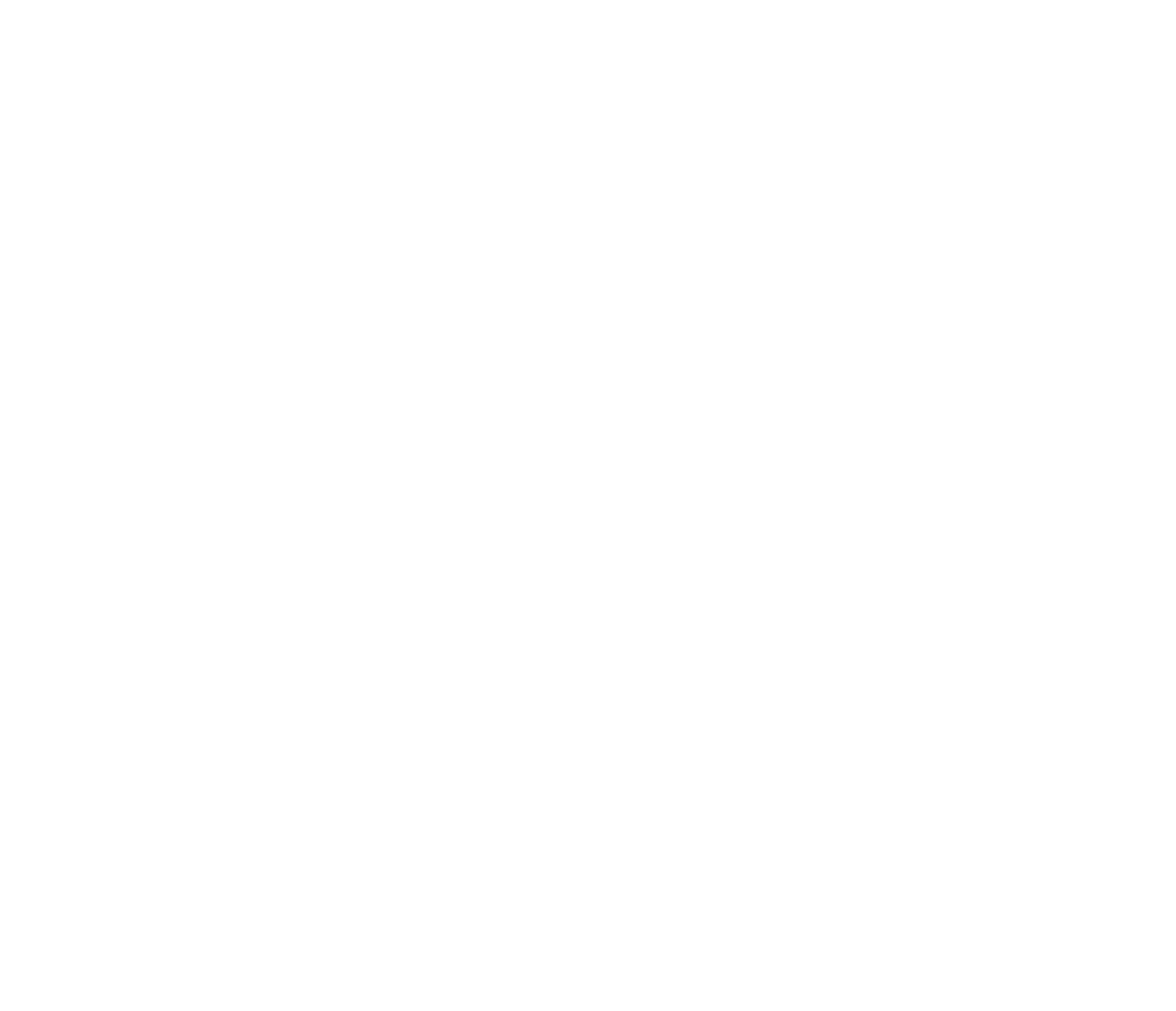 Plieninger Living Logo.png