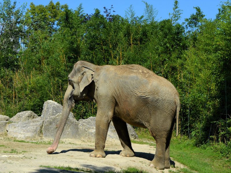 Design ohne Titel (33).jpg