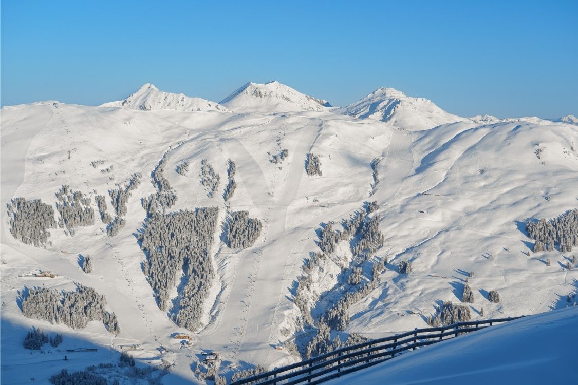 Design ohne Titel (76).jpg