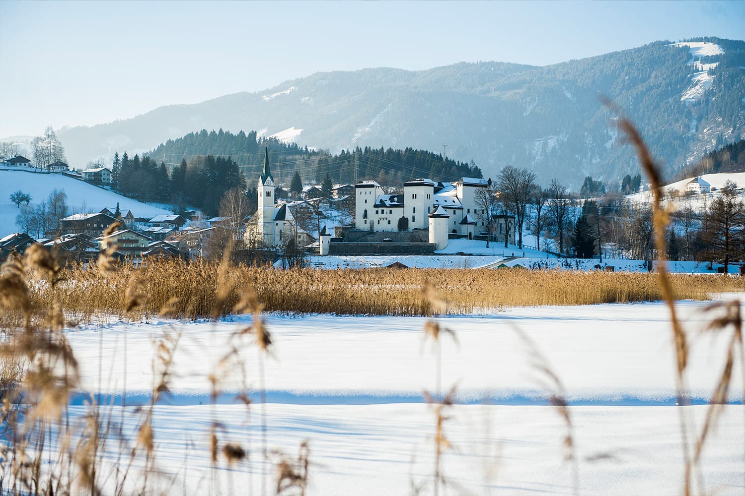 © Reidinger Michael (2).jpg