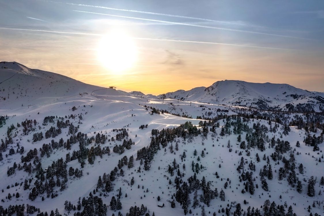 Design ohne Titel - 2024-12-20T140111.605.jpg