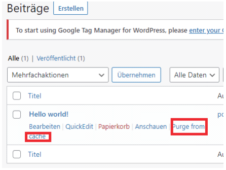 wordpress beiträge cache leeren
