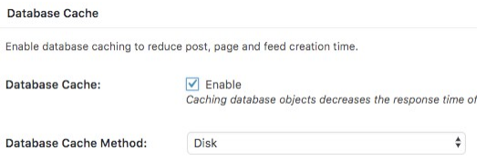 wordpress datenbank cache