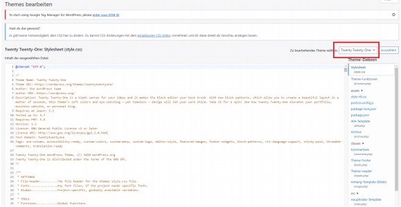 Google Tag Manager Wordpress verbinden über theme editor