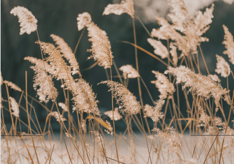 Angst und Panik überwinden lernen