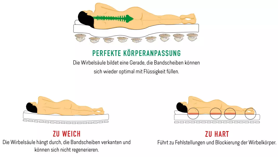 images_schlafberatung_ergonomie (1).webp